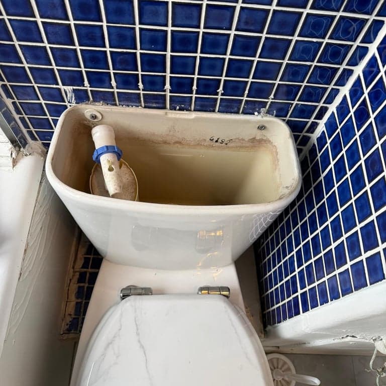 Plumber carrying out work in Penge